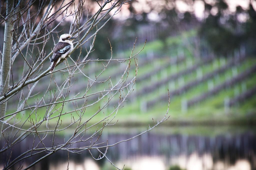 Bettenays Margaret River Metricup Ruang foto